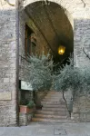 Hotel Properzio