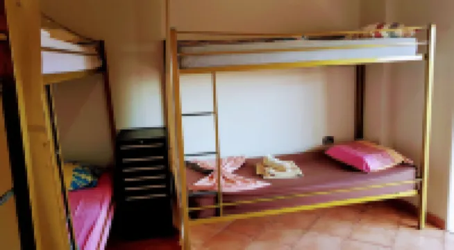 哈庫納瑪塔塔青年旅舍 酒店