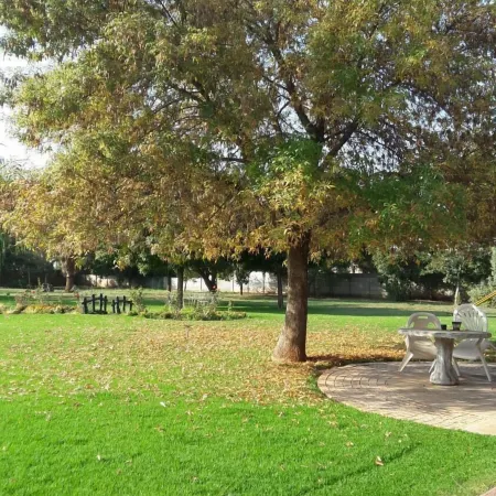 The Willow Tree Guesthouse