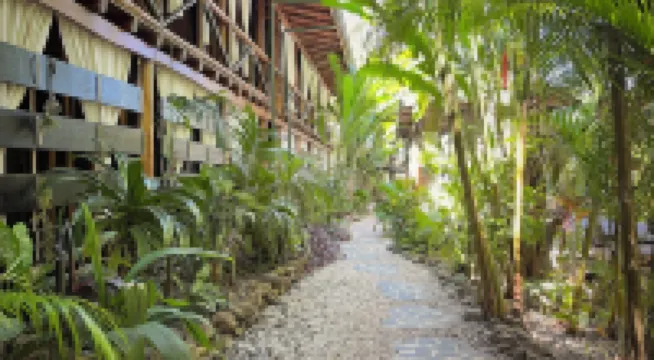 Canaima Chill House