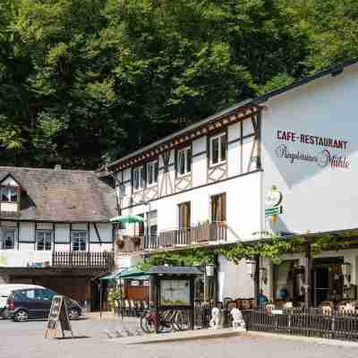 Landhotel Ringelsteiner Mühle Hotel Exterior