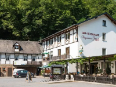 Landhotel Ringelsteiner Mühle Hotels in Cochem-Zell