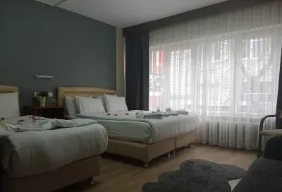 Hotel Cesmeli Các khách sạn gần Emir Sultan Cami