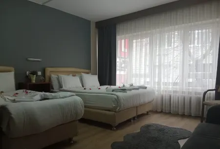 Hotel Cesmeli Отели рядом с достопримечательностью «Emir Sultan Cami»