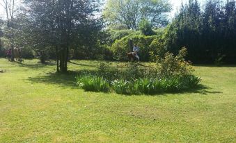 Villa la Dogana B&B di Charme - Historic Villa with a Beautiful Garden