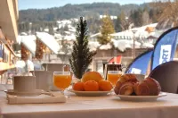Chalet-Hôtel la Marmotte, la Tapiaz & Spa, the Originals Relais Hotels in Les Gets