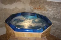 Hotel Leonor de Aquitania - spa