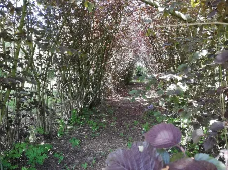 Beautiful Villa for Groups with Swimming Pool, Sauna and Wifi