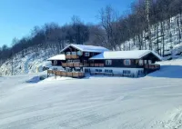 Davos Chalet - Pysäköinti