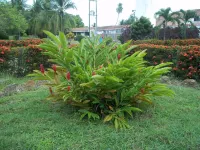 Hotel Albatros Hotels in 