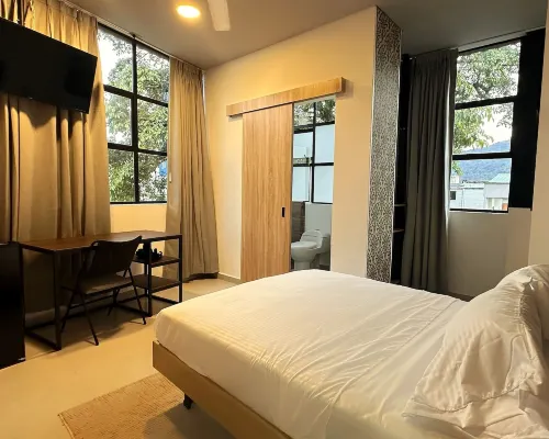 Star AV 37 Hotel Hotels in Ibague