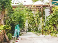 Beach Front Honeymoon Hotels in Savaneta