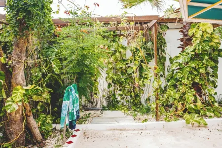 Beach Front Honeymoon