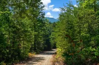 PRIVATE Tiny Cabin+90 acres of hiking+baby goats