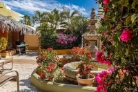Villa Hacienda del MarOn the Beach, Infinity Pool & Spa, Priv Pickleball Court Hotels near La Laguna Park