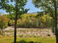 River in your Backyard