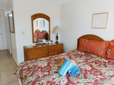 Special December rates /Spectacular Ocean views 1Bed/2 bath Hotels near Kealia Pond National Wildlife Refuge