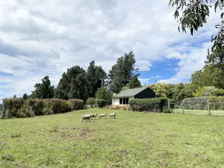 Sunrise Mountain View Cabin