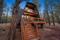 Williams NEW in the Pines - Grand Canyon Getaway!