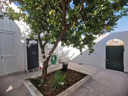 Atypical Portuguese house Отели в г. Quelfes