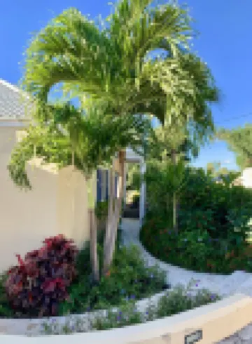 Arco Iris~3 Private King Suites, AC, Private Pool, Ocean Views, well appointed! فنادق في 