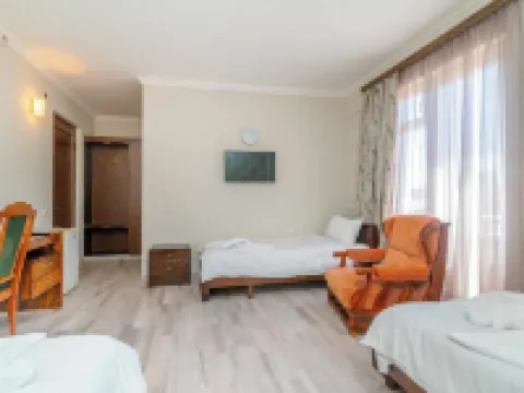 Hotel Victoria Hotels in Gori