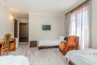 Hotel Victoria Hotels in 