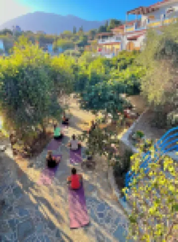 Pantheon Apartments & Studios