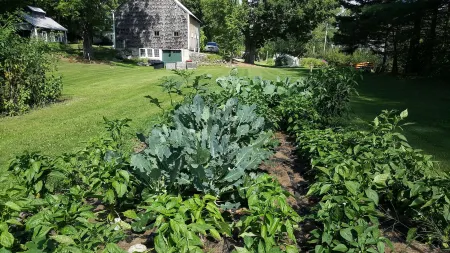 The Farmstand Bed & Breakfast