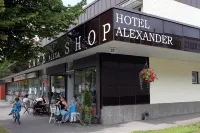 Hotel Alexander Hotels in Mantta-Vilppula