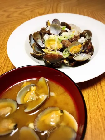 Minshuku Takahashi Kashibuneten Отели рядом с достопримечательностью «Hamanako Garden Park»