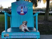Mount Dora Cottages Hotels in Mount Dora