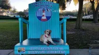 Mount Dora Cottages