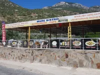 Priene Pansiyon Hotels in Soke