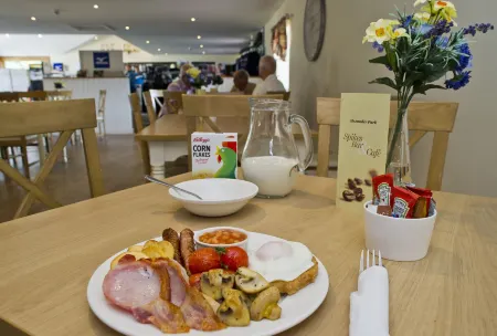 Alexander Park B&B Отели рядом с достопримечательностью «Парк Риверсайд»