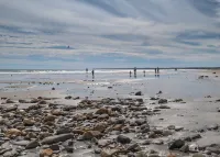 Tallwood Motel Wells - Beach