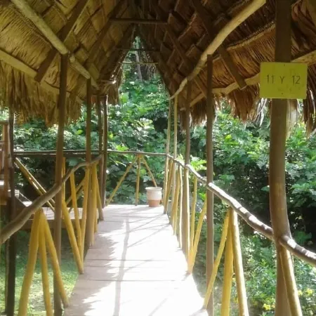 Johmer Expedition Tours & Lodge