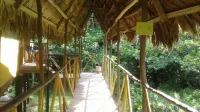 Johmer Expedition Tours & Lodge - Mökki
