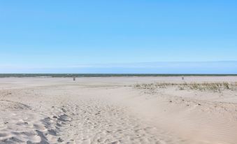 Driftwood Beach Cottage - Walk to Clearwater Bch