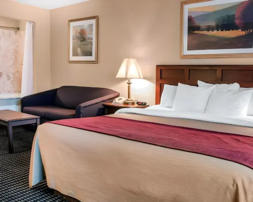 Comfort Inn Hôtels à : Livonia