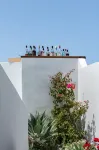 Akra Suites & Spa - bar