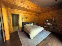 East End 5BR luxury home w/ Views, Home Theater Rm, HOT TUB & Amenities GALORE! Hotels near Telluride Regional Airport