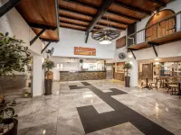 كاكتوس فنادق في لارنكا