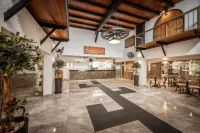 Cactus Hotels in Mazotos
