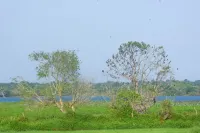 Neralu Garden Yala Các khách sạn ở Mahasenpura