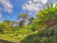 Villa Espectacular en el corazón del Eje Cafetero , rodeado de montañas y cafe.. Отели в г. 