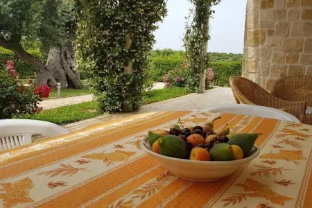 Leralora House - Olive Tree. Elegant villa with swimming pool, a stone's throw from the sea