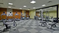 Embassy Suites by Hilton Lexington/UK Coldstream - Gym