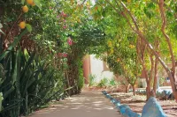 Charming 4-bedroom bed & breakfast in lovely Tiout with AC and Pool Hotels in Taroudant