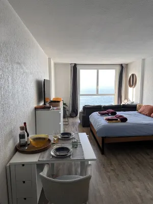 Biarritz / Grande Plage / Ocean view / Cosy / Swimming pool / Renovated 2024 / Fully equipped